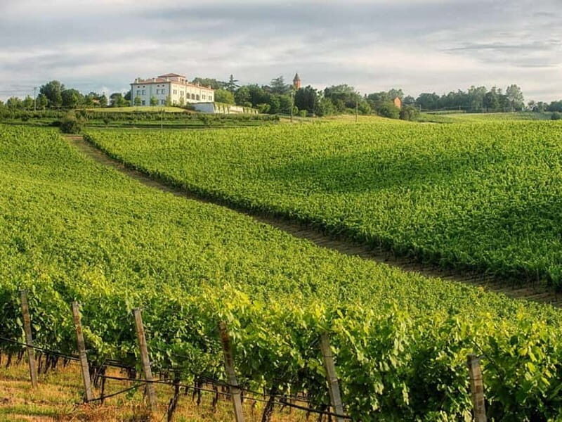 WINE EXPERIENCE & DOZZA - Private Day Tour from Ravenna - FAQs