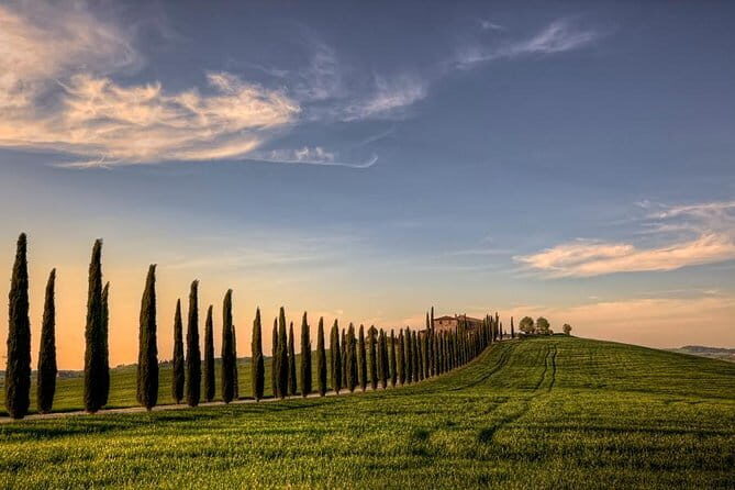 Wine Experience In Chianti Hills from Florence - The Experience from a Traveler’s Perspective