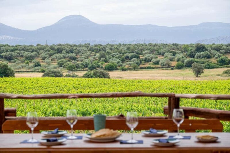 Wine experience in Dorgali in the heart of the Cannonau Classic Zone - Frequently Asked Questions  
