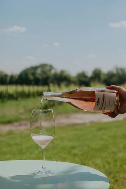 WINE EXPERIENCE - Le Vie Angarano winery - Exploring the Experience in Depth