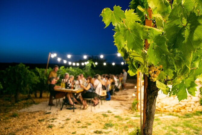 wine-experience-vineyard-wines-and-food