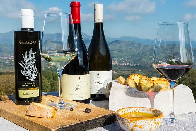 wine-food-tasting-on-etnas-winery-private-tour