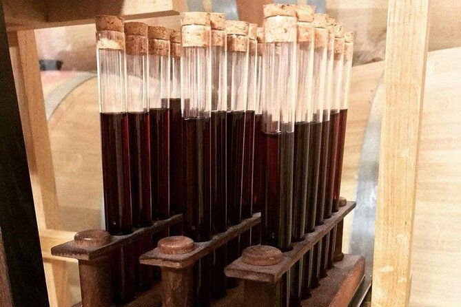 wine-gaming-at-chateau-lamothe