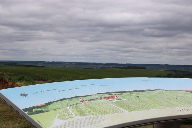 wine-getaway-with-tasting-in-the-chablis-vineyard