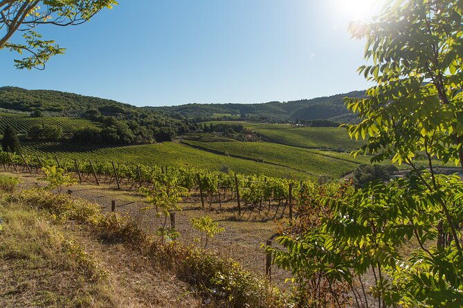 wine-hiking-sip-trek