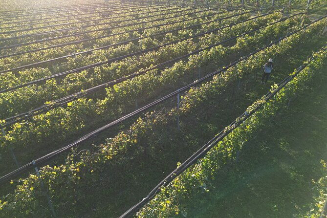 wine-horses-wine-tour-in-cordoba-argentina