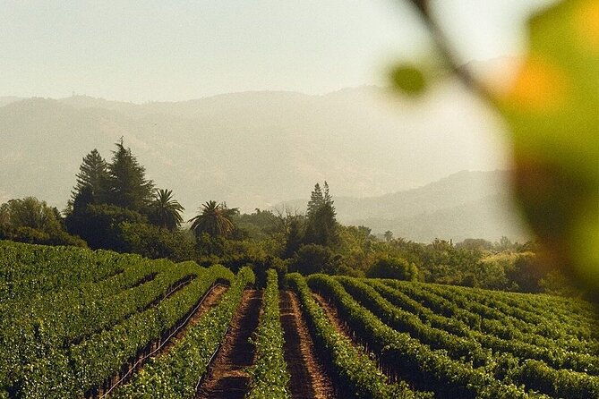 wine-icons-tour-in-the-sparkling-world-of-chandon