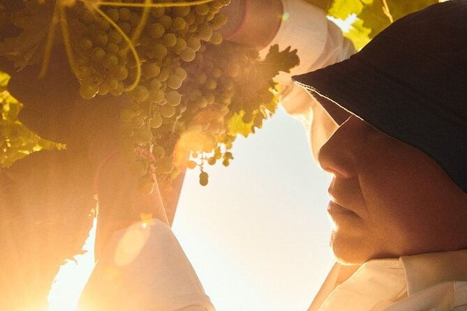 wine-icons-tour-in-the-sparkling-world-of-chandon