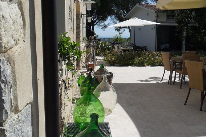 wine-is-bottled-poetry-thats-why-i-love-prosecco-private-tour