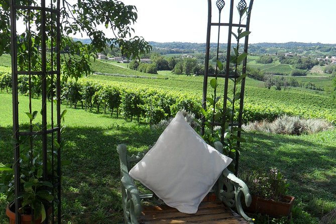 wine-is-bottled-poetry-thats-why-i-love-prosecco-private-tour