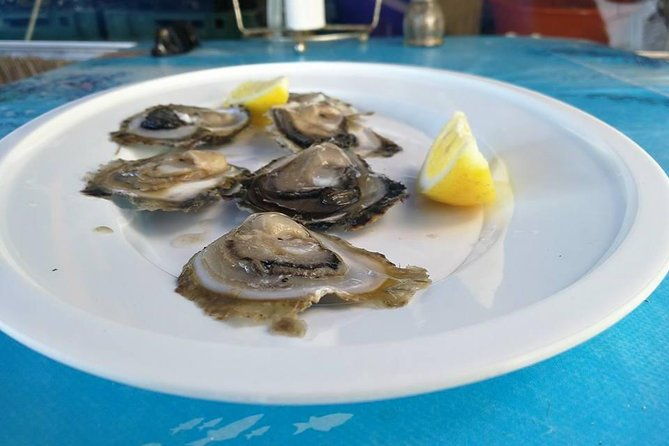 wine-kingdom-peljesac-from-dubrovnik