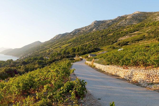 wine-lovers-tour-of-peljesac-peninsula