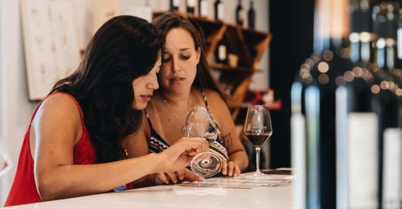 wine-masterclass-cheese-tasting-workshop-in-bordeaux-2