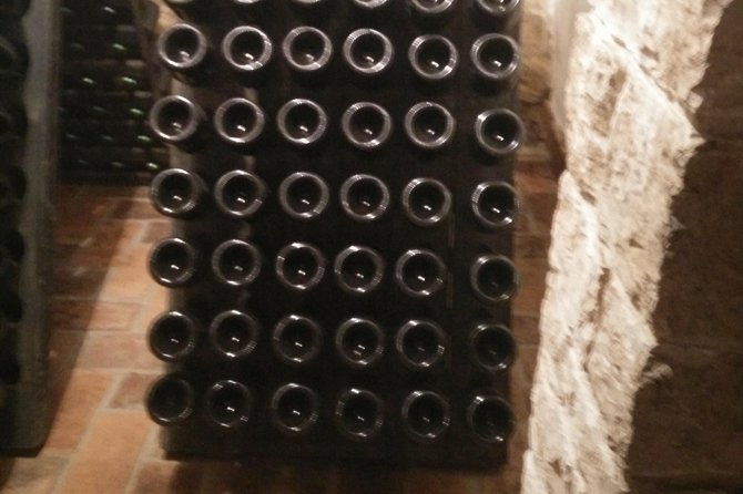 wine-more-tour-private-guided-wine-tour-from-porec-umag-istria