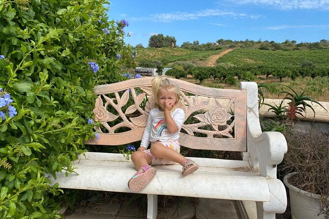 wine-not-algarve-winery-tour