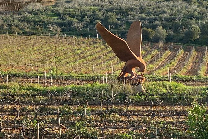 wine-not-algarve-winery-tour