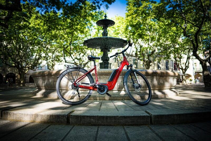 wine-of-provence-by-e-bike-not-to-be-missed