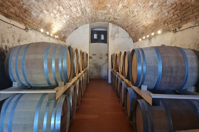 wine-oil-tasting-experience