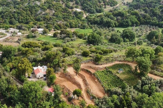 wine-olive-oil-and-honey-tour-with-winemaker