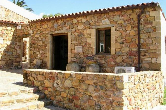 wine-olive-oil-tasting-one-day-private-tour-in-crete