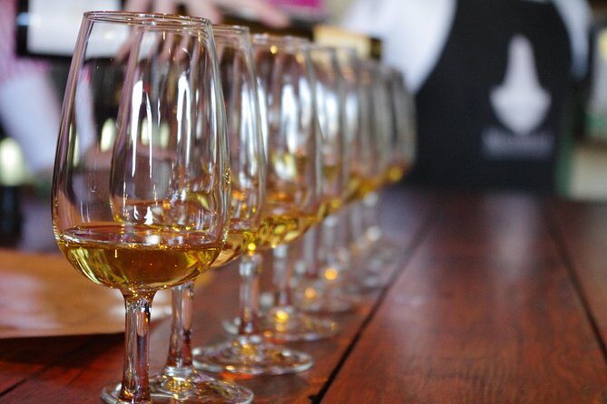 WINE ON WAIHEKE , Scenic and PEMIUM Wine tasting MAX 11 clients - Who Is This Tour Best Suited For?