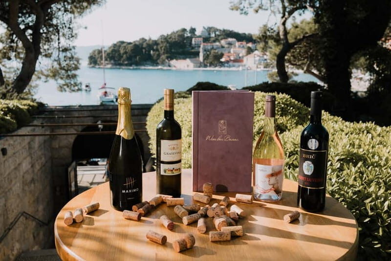Wine Pairing (3 glasses) with Snack and Gallery Entrance - Key Points