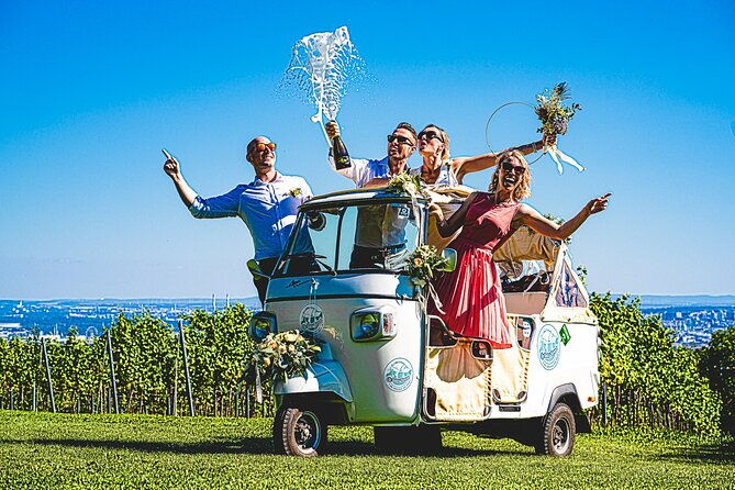 wine-picknick-overlocking-vienna