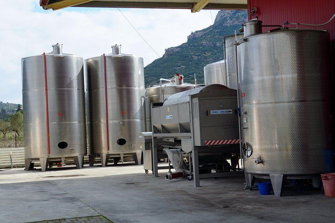 wine-roads-private-day-tour-corinth-ancient-nemea-wine-tasting-4