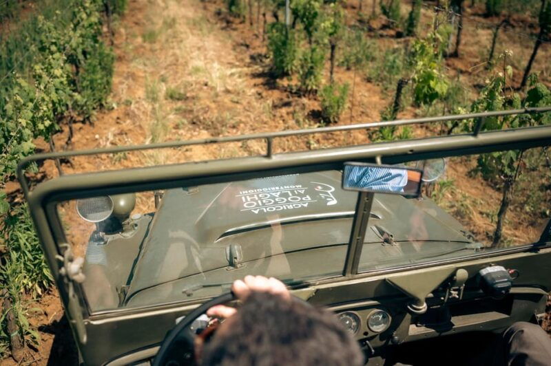 wine-safari-poggio-ai-laghi-vineyards-on-a-vintage-off-road