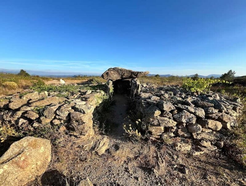 Wine safari - Why This Tour Works