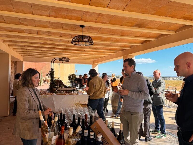 wine-sunday-in-mallorca