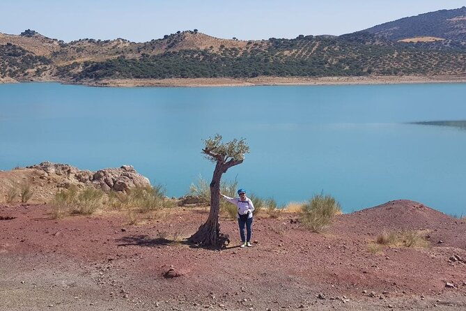 wine-tapas-lake-zahara-by-e-bike-incl-ronda-pickup-full-day