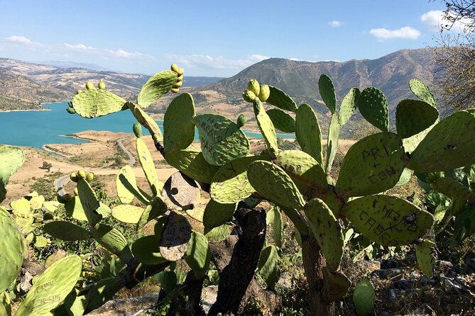 wine-tapas-lake-zahara-by-e-bike-incl-ronda-pickup-full-day