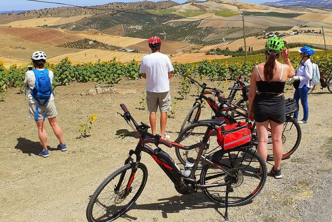 wine-tapas-lake-zahara-by-e-bike-incl-ronda-pickup-full-day