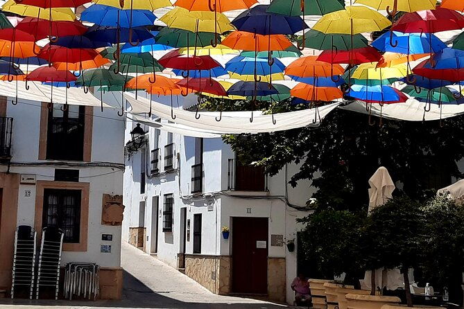 wine-tapas-tour-by-electric-bike-e-bike-including-ronda-pickup-full-day