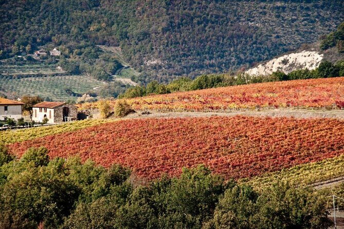 wine-tasting-activity-at-chianti-rufina