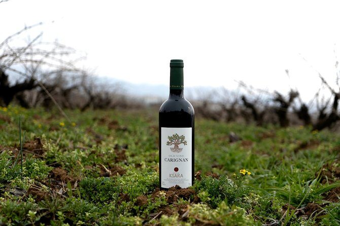 Wine Tasting and Culture - Frequently Asked Questions