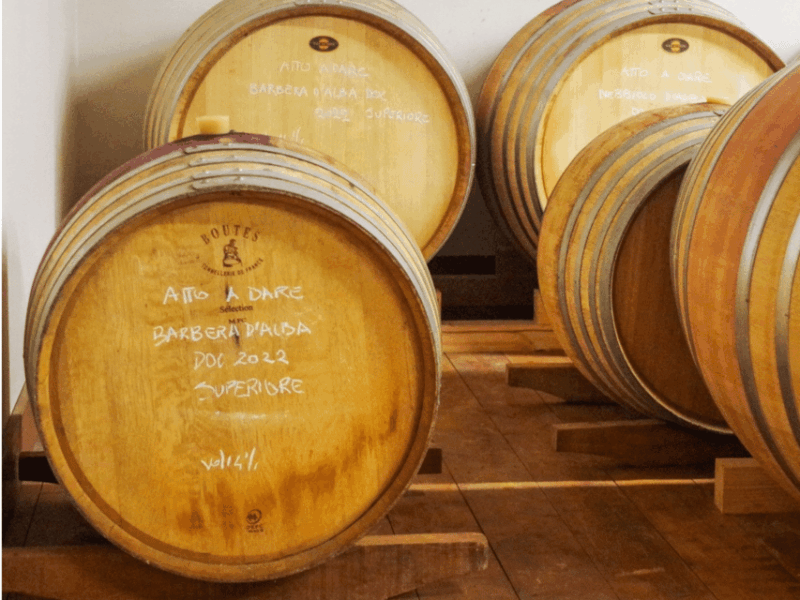 wine-tasting-and-food-pairings-in-langhe-and-near-alba