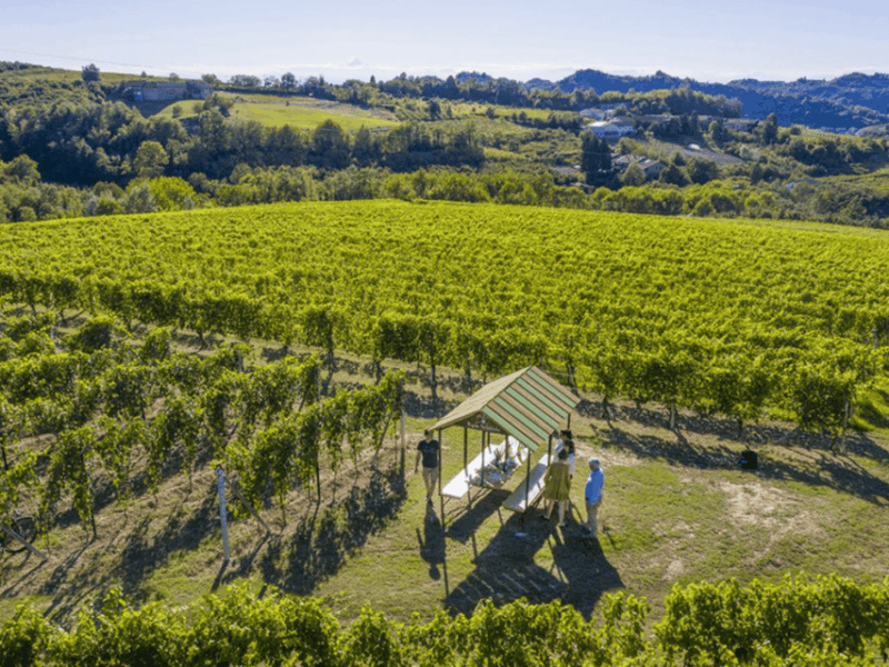 wine-tasting-and-food-pairings-in-langhe-and-near-alba