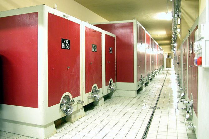 wine-tasting-and-guided-tour-of-the-cellar
