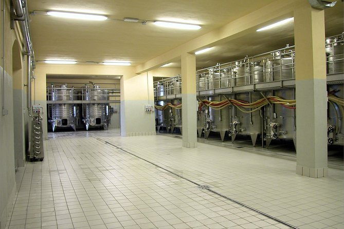 wine-tasting-and-guided-tour-of-the-cellar