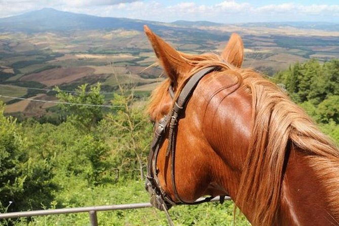 wine-tasting-and-horseback-riding-in-montepulciano-in-tuscany-from-rome