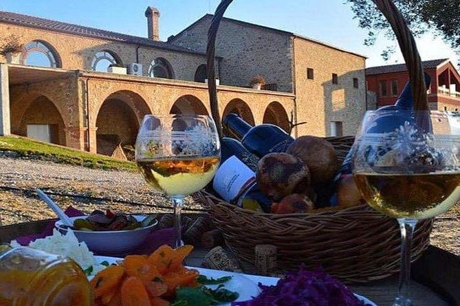 wine-tasting-and-olive-oil-in-tirana-surroundings