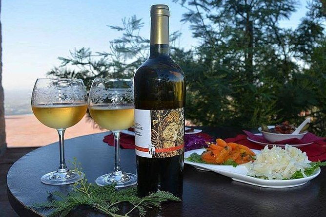 wine-tasting-and-olive-oil-in-tirana-surroundings