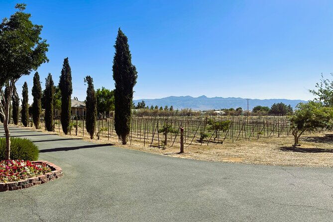 wine-tasting-and-snacks-from-las-vegas-2