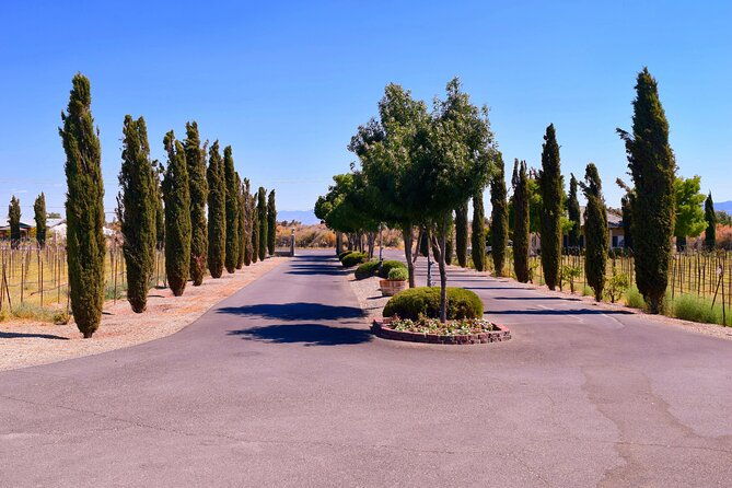 wine-tasting-and-snacks-from-las-vegas