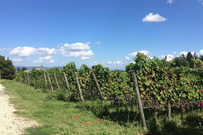 wine-tasting-and-winery-tour