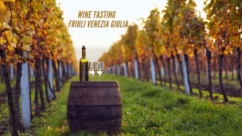 wine-tasting-and-winery-tour-in-friuli-venezia-giulia