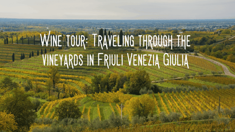 wine-tasting-and-winery-tour-in-friuli-venezia-giulia