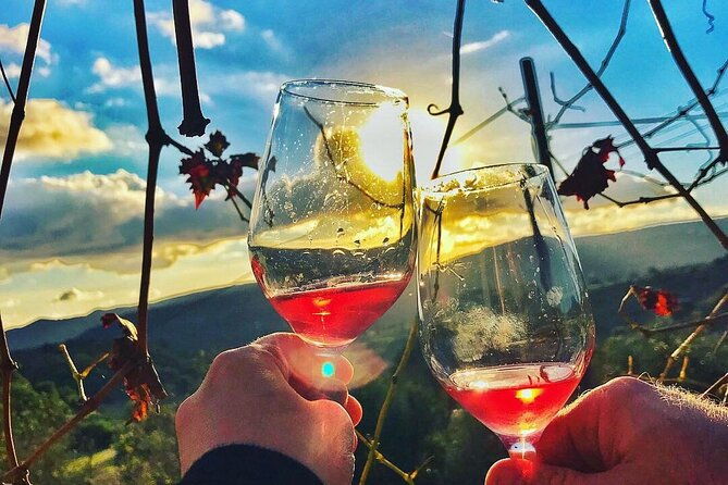 wine-tasting-and-winery-tour-in-lemona-village-paphos